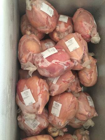 Chickens in Freezer